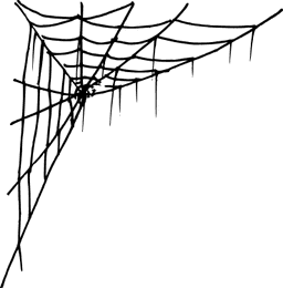 Cobweb